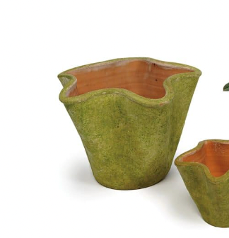 AGED STAR PLANTER SM