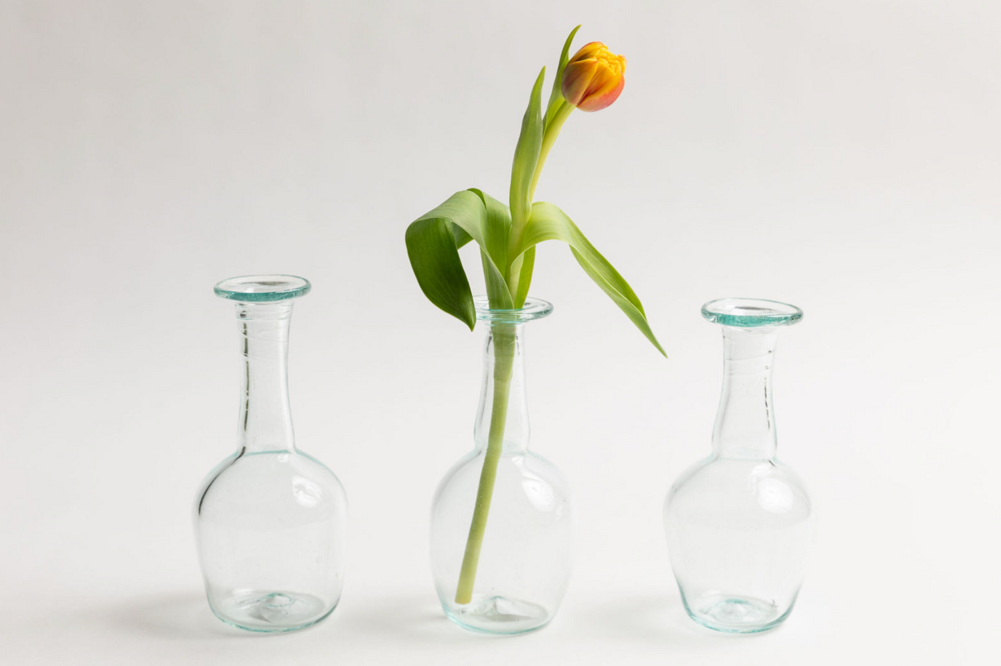 Capelli Bud Vase