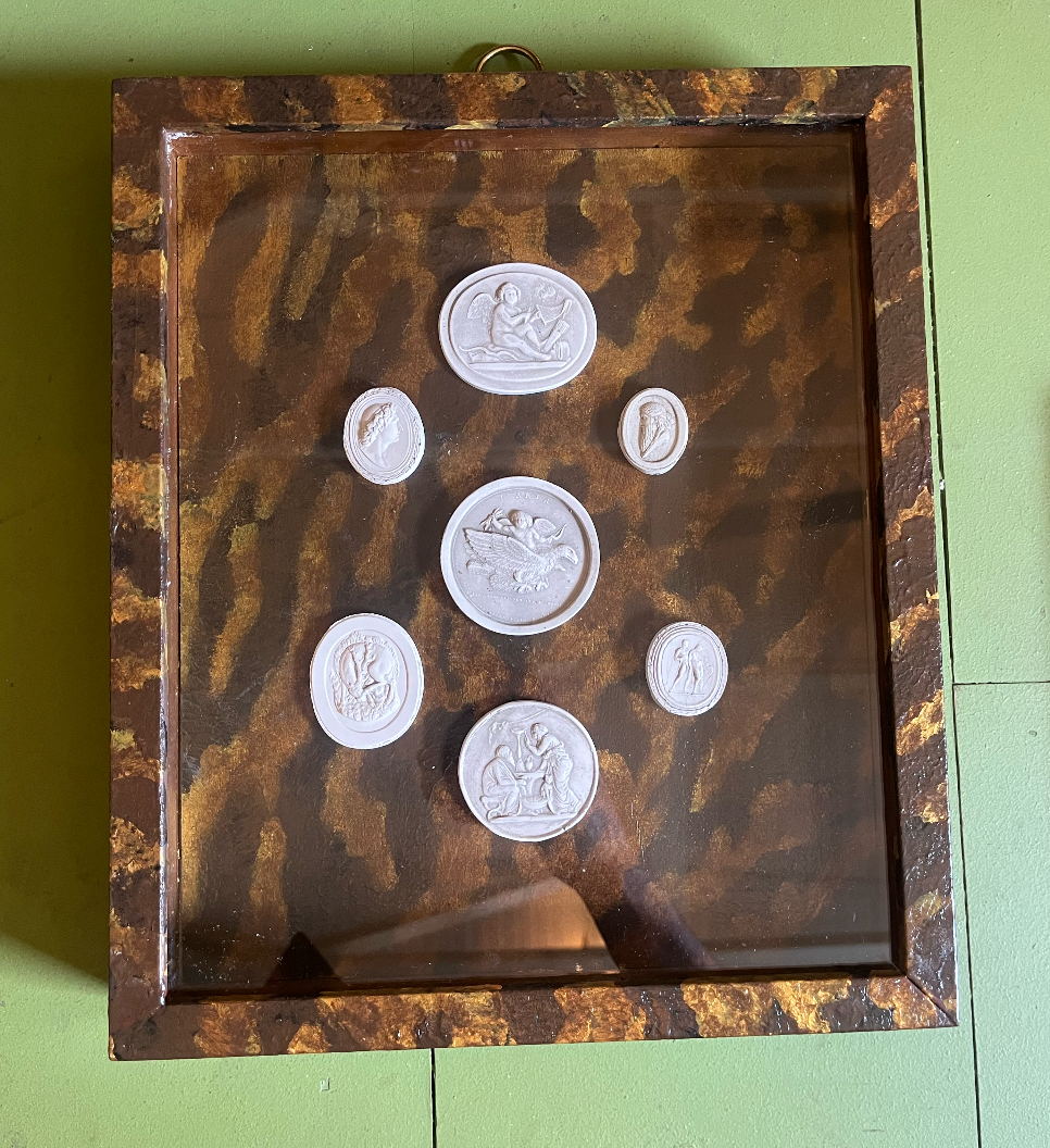 Tortoise Intaglio Shadowbox