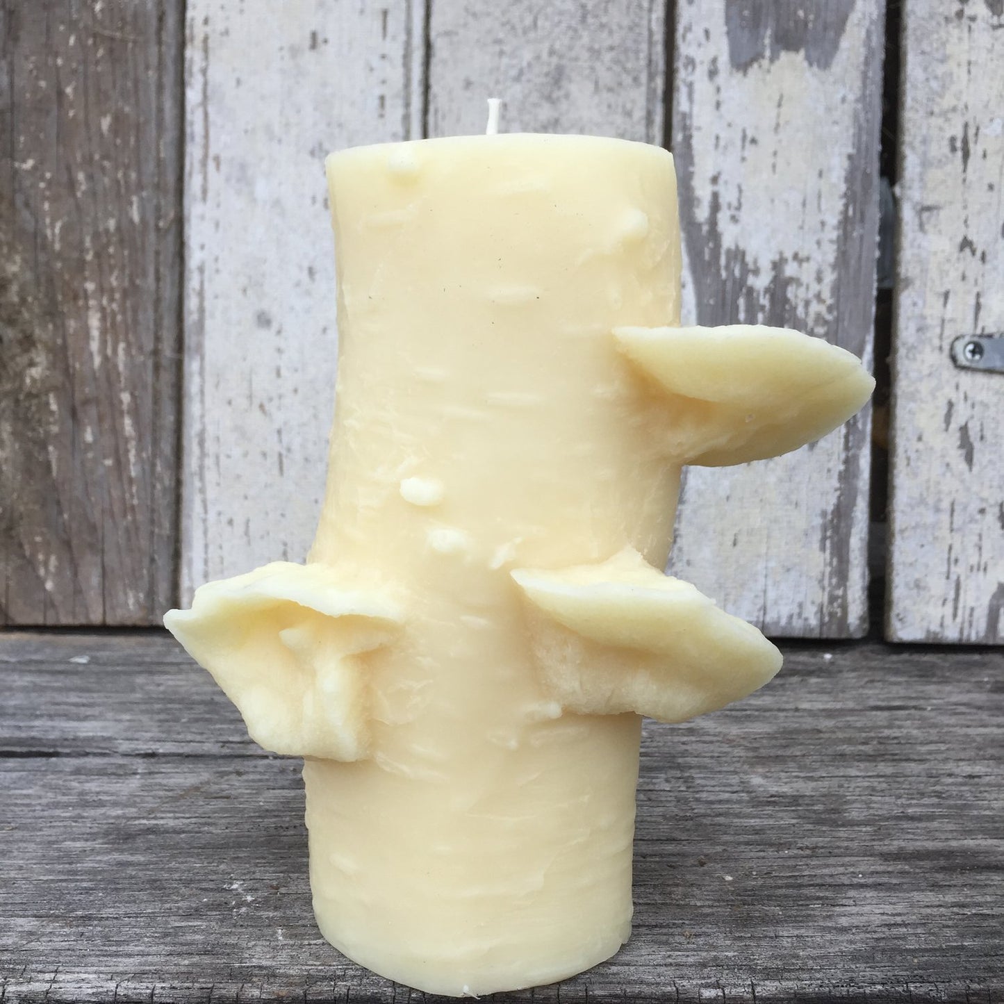 72 Hour Birch Pillar