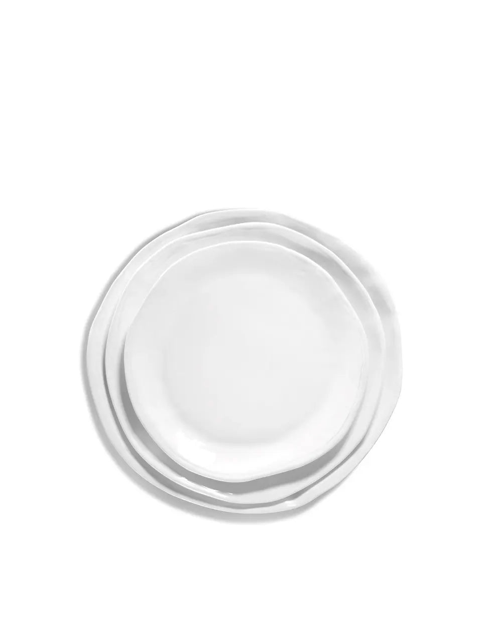 Dinner Plate No. 221