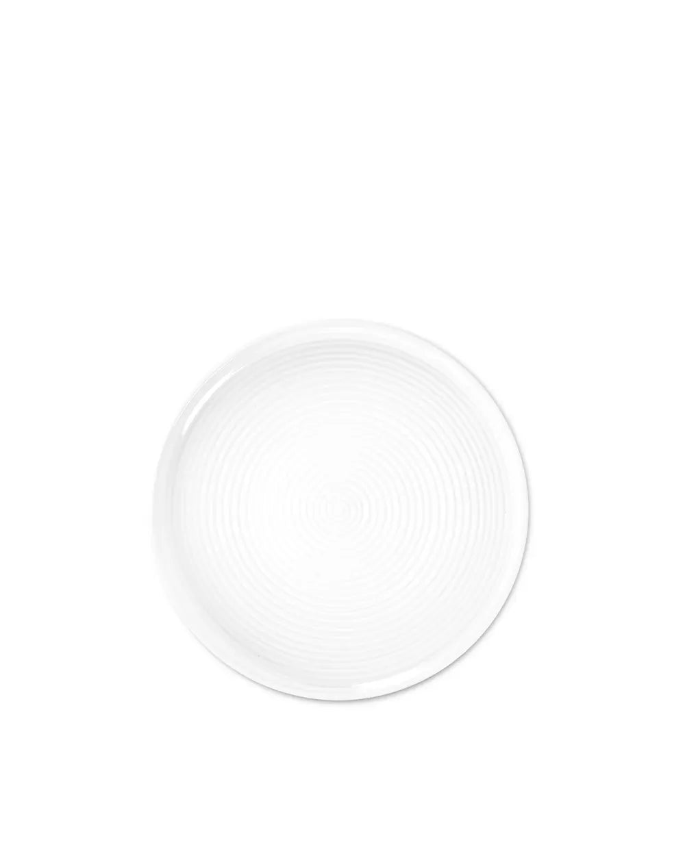 Dinner Plate No. 294