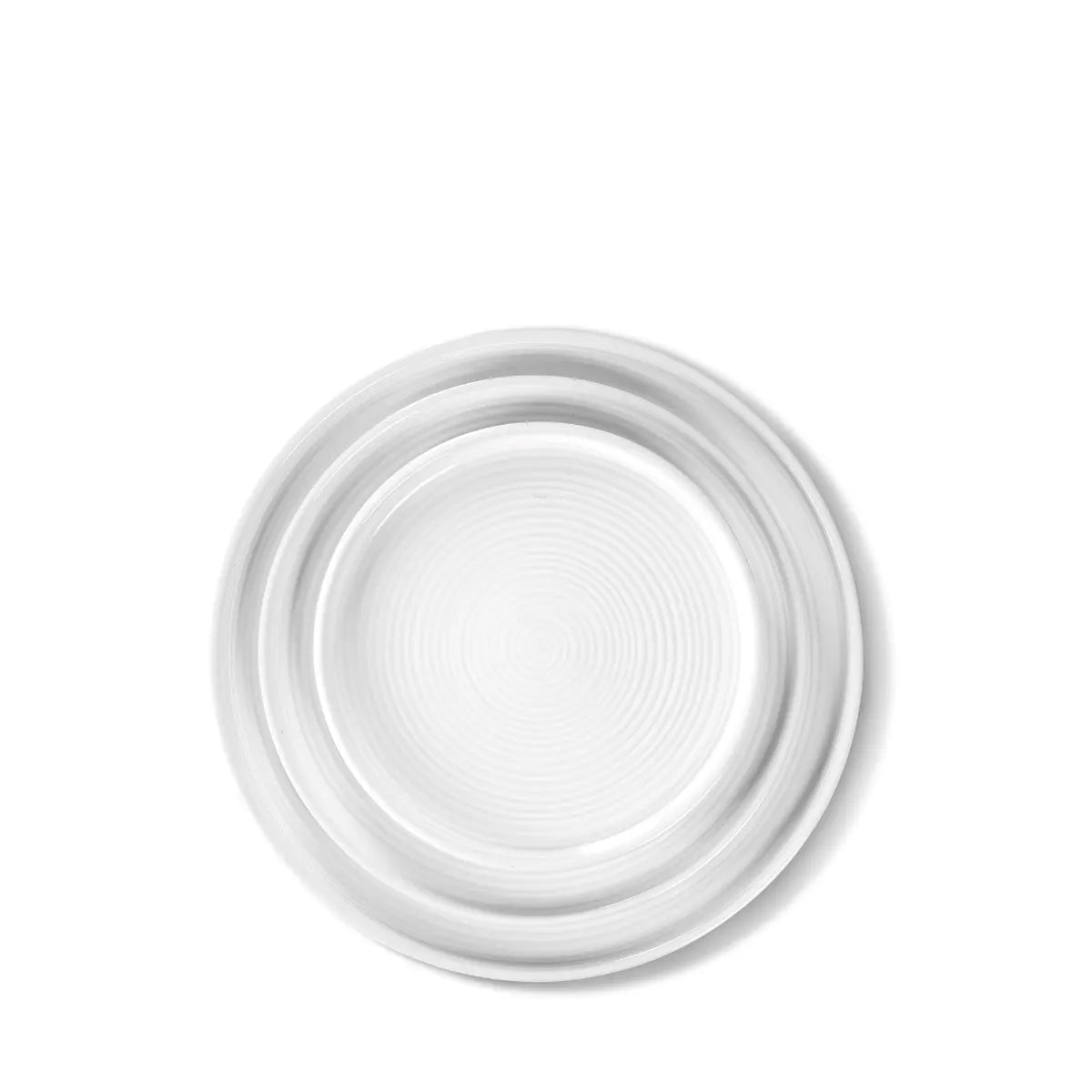 Dinner Plate No. 294