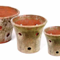 ORCHID PLANTER SM