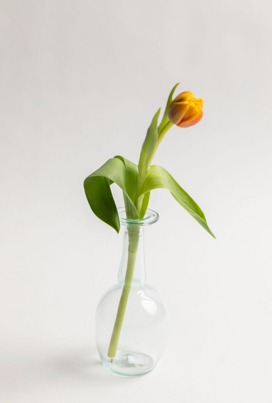 Capelli Bud Vase