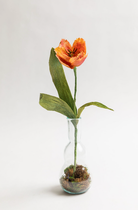 Luminé Vase