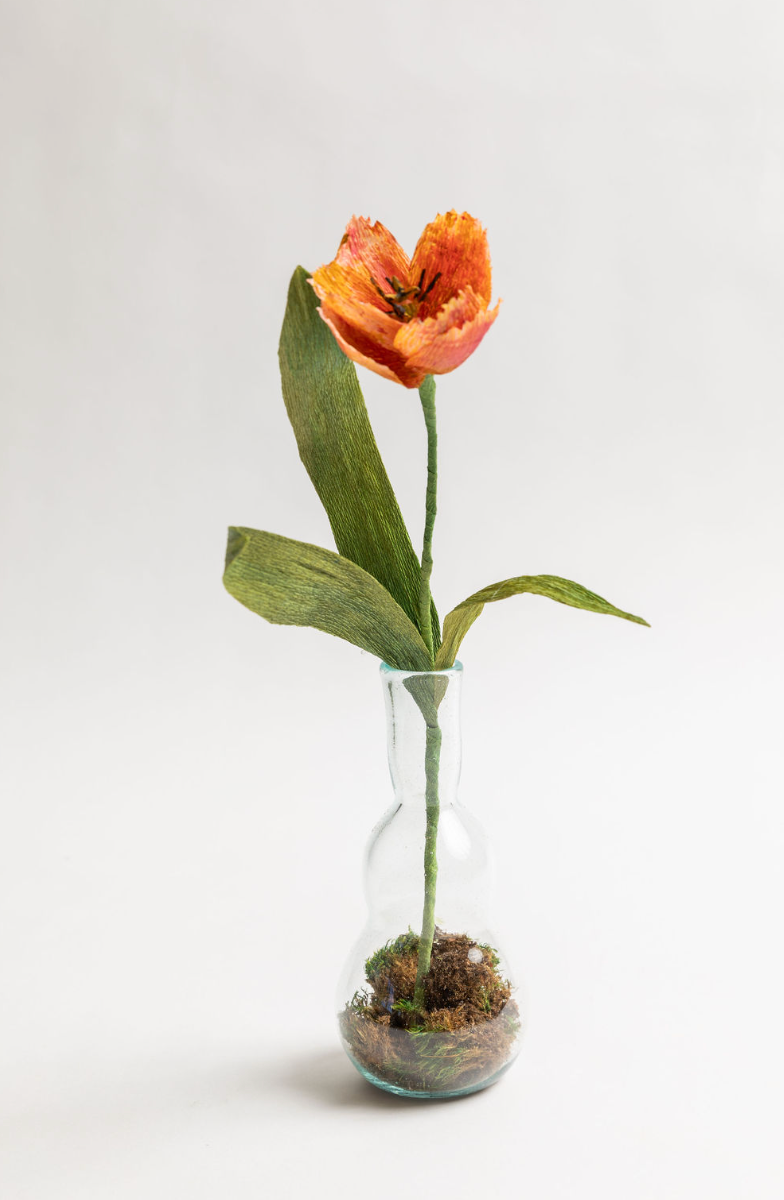 Single Stem Tulip, Paper Flower
