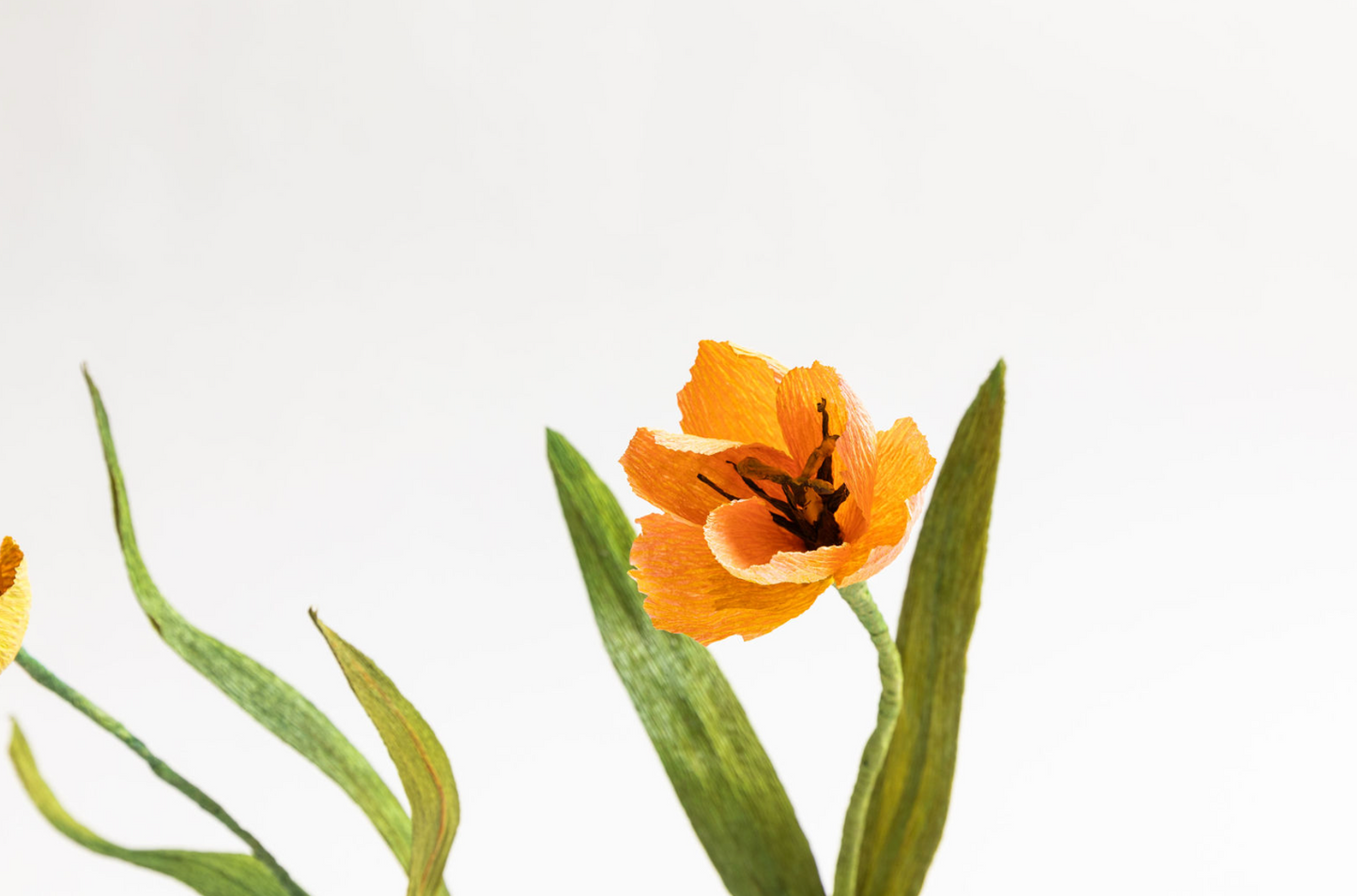 Single Stem Tulip, Paper Flower