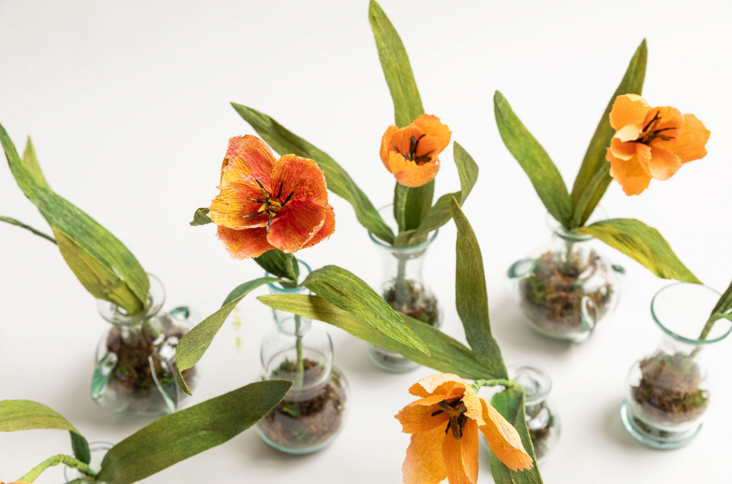 Single Stem Tulip, Paper Flower