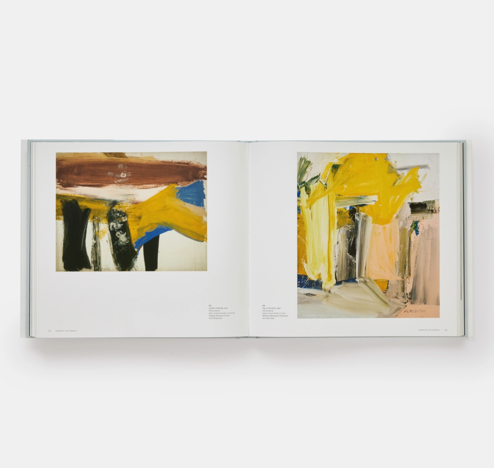 A Way Of Living The Art Of Willem De Kooning